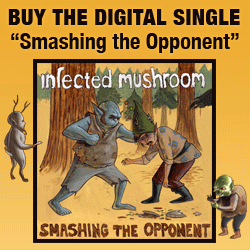 Infected Mushroom - Smashing the Opponent